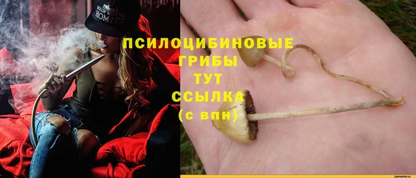сатива Баксан