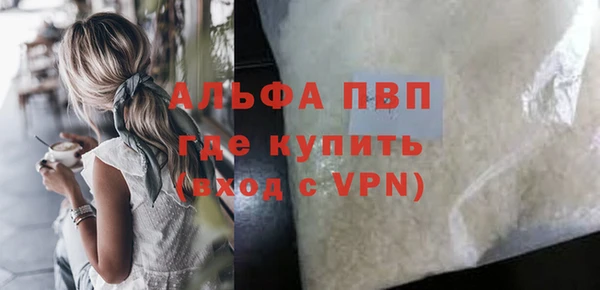 сатива Баксан