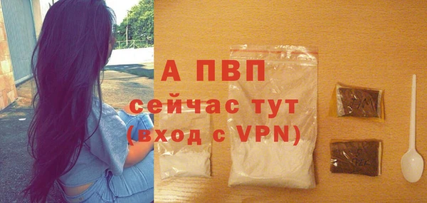 сатива Баксан