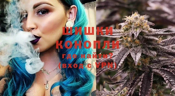 сатива Баксан